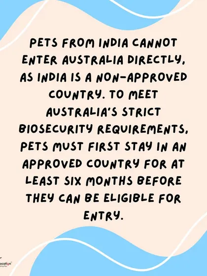 Due to Australia's strict biosecurity laws, pets from India cannot enter directly. They must first stay in an approved country for at least six months to become eligible for entry. We can manage this entire process for you.