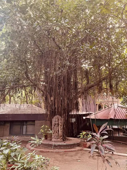 The magnificent banyan tree at Mahagami Gurukul. Spending time in such a spiritually charged and aesthetically rich environment was a meditative experience that I carry with me.