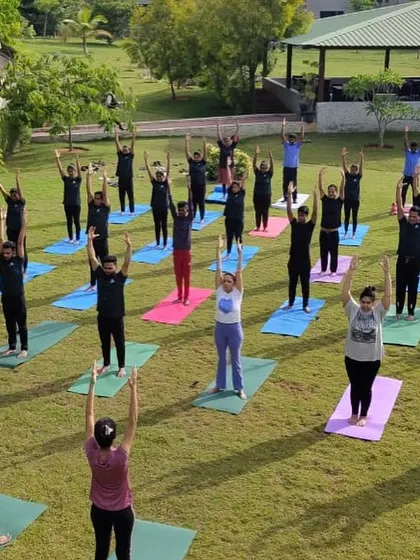 A high-angle shot of a large group yoga session. The colorful mats on the green grass create a beautiful pattern, symbolizing the community and shared intention of the practice.