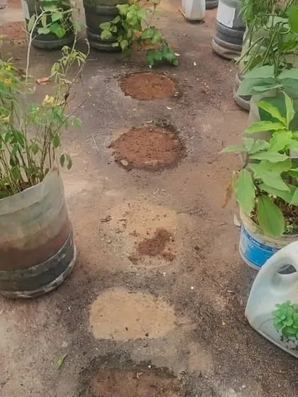 Another example of the damage left by pots without stands. We provide a simple, effective solution to prevent this common issue for all terrace gardeners.