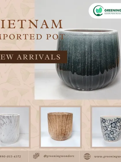 Explore the unique beauty of our imported pots from Vietnam. This selection highlights diverse finishes, including a stunning blue-green glazed pot, a marble-effect pot, and a classic wood-grain design.
