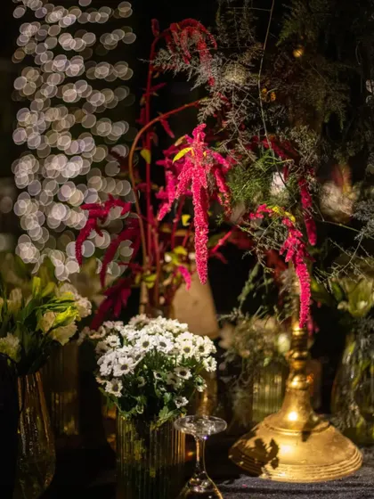 A beautiful shot capturing the soft bokeh of fairy lights behind an arrangement of red amaranthus and white daisies. This highlights our skill in using lighting to create a magical atmosphere.