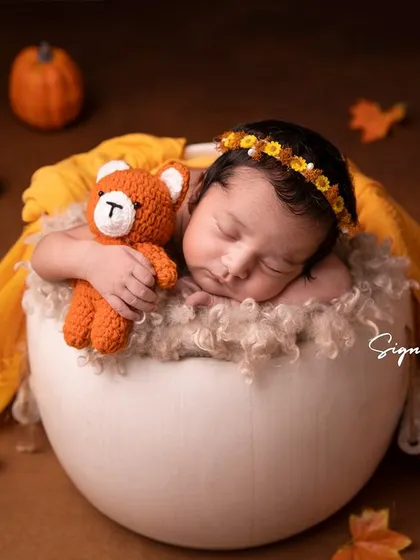 A duplicate of image 71, showcasing the charming autumn-themed newborn setup.