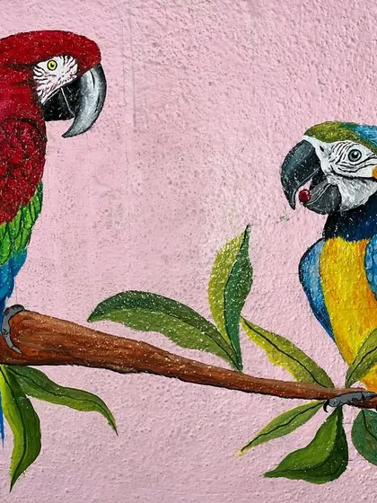 A detailed view of the parrots from a wall mural, showcasing the textured acrylic paintwork.