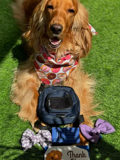 Our latest haul from Furry Tags: a cute backpack, stylish bows, and a donut-themed bandana.
