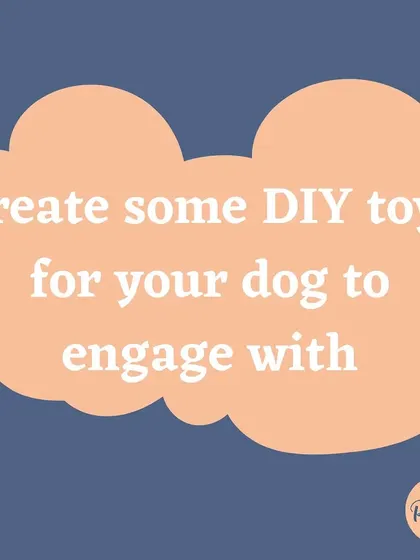 Get creative and make some DIY toys for your dog to engage with. A rainy day is perfect for a fun crafting and play session.