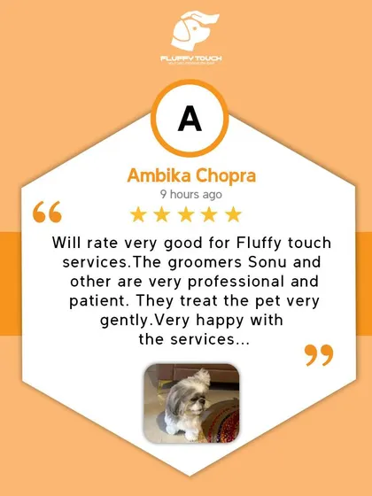 "Very professional and patient." This review from Ambika Chopra highlights exactly what I aim for. I treat every pet gently, ensuring a positive experience.