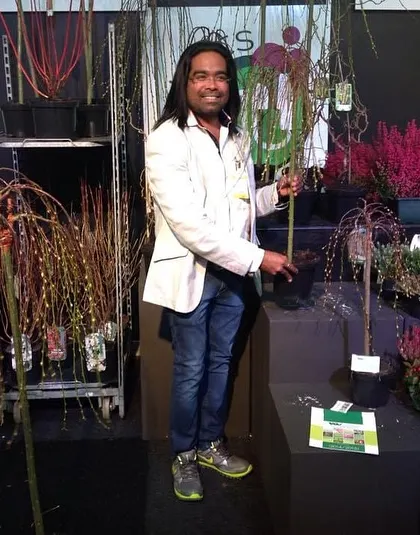 Discovering interesting plants like this weeping willow in a pot during my visit to Holland. It's amazing to see how different plants are cultivated and presented.
