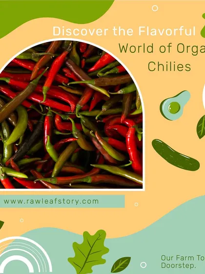 We also grow a variety of chilies, perfect for adding a fresh, spicy kick to any dish. By controlling the entire growing process, we can guarantee the flavor and quality of even the smallest ingredients.