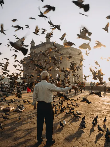 An elderly man feeds a flock of pigeons that erupt into the air in front of the Gateway of India at sunrise. This dynamic shot is a quintessential Mumbai scene, full of life and movement.