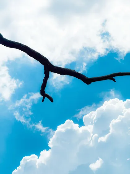 Simple moments from Delhi, a tree branch against the sky and a sunny street scene. These are the kinds of daily observations I love to capture with my phone.