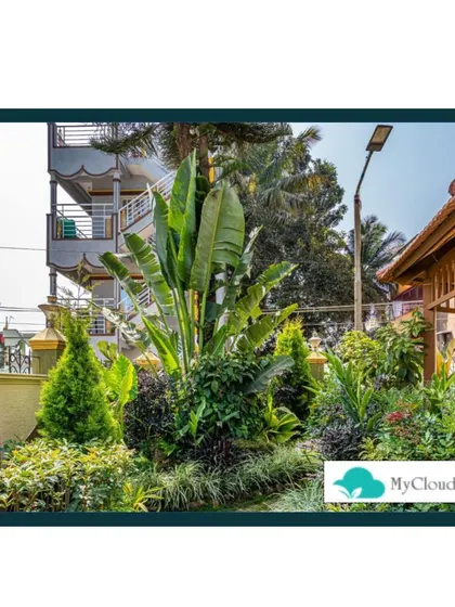 This view showcases a garden with rich, layered planting. A tall Traveller's Palm stands out among a variety of shrubs and ground cover, demonstrating a tropical design style that is both lush and low-maintenance.