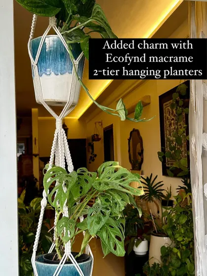 A duplicate of 175, highlighting the charm of macrame planters.