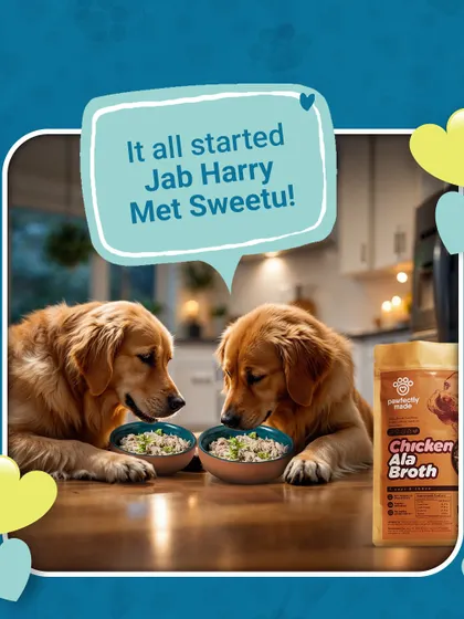 This Valentine's Day, it's a love story for the ages: Jab Harry Met Sweetu over a bowl of Chicken Ala Broth.