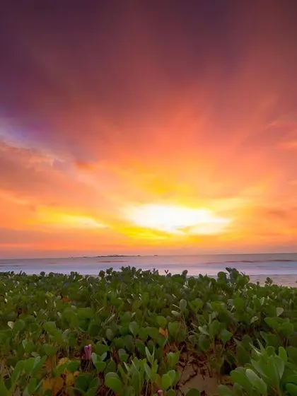 A fiery October sunset paints the sky over a beach in Udupi. The vibrant colors and the lush green foreground capture the unique beauty of the karavali coast.