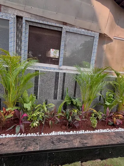 A close-up of the foundation planting at the Lodha villa, using a variety of textures and colors to beautify the base of the building.