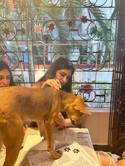 A participant pets a curious puppy that has climbed onto the table to inspect the art supplies.