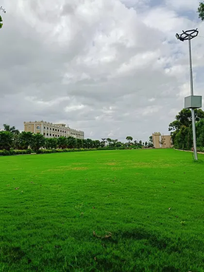 A massive, open field of green grass at the Vadodara park, demonstrating the scale of this successful public project.
