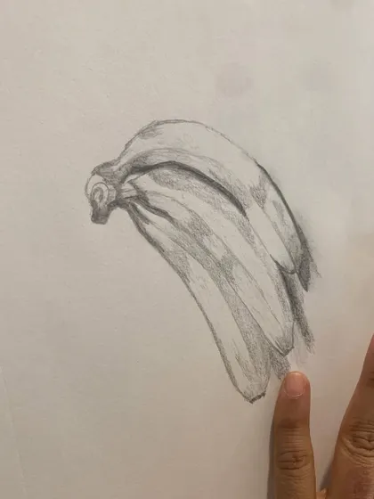 A beginner's still life sketch of bananas. We start with simple objects to teach the core principles of observation, shape, and shading.
