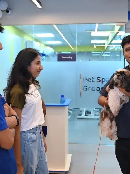 A glimpse of our bright and open retail space, where a groomer is handing a freshly groomed Shih Tzu back to its happy family. Our centers are designed to be a hub for the local pet parent community.