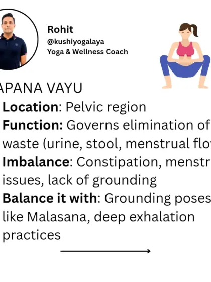 The second is Apana Vayu, located in the pelvic region. It governs elimination. An imbalance can lead to constipation or menstrual issues, which we balance with grounding poses like Malasana.