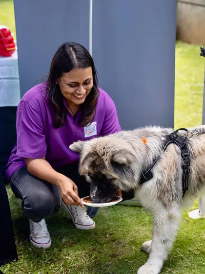 Our team loves interacting with all the pets. Here's one of our team members feeding a beautiful fluffy dog at the Pet Sundowner.