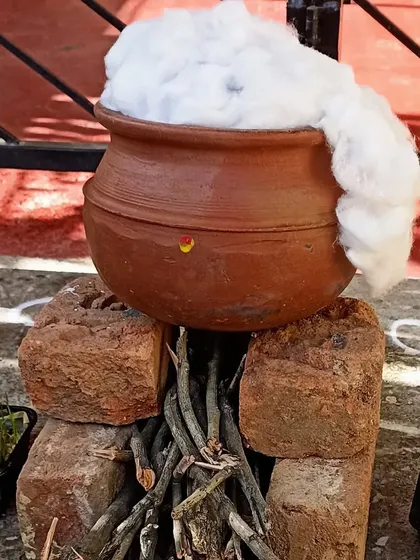 A symbolic Pongal pot, overflowing with 'milk' made of cotton, signifies abundance and prosperity.