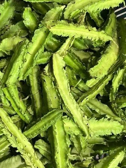 A close-up of the prepared winged beans. I sometimes offer them chopped to make cooking quicker for my customers.
