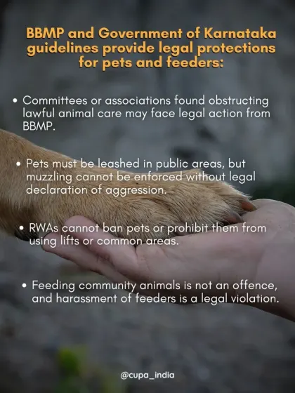 These BBMP and Karnataka Government guidelines provide legal protection for pet owners and feeders. RWAs cannot ban pets, and harassing feeders is a legal violation.