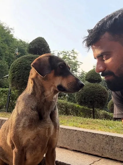 A quiet, intense look shared with one of my furry friends in the park.