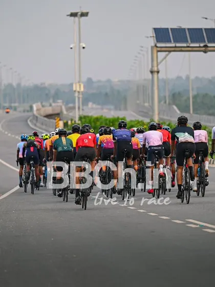The peloton from behind, showing the long line of riders.