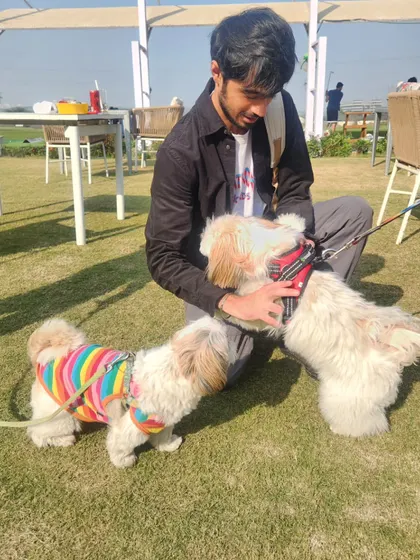 A guest sharing some love with two furry friends. It's always a joy to see our two-legged and four-legged guests interacting.