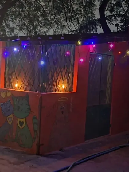 The exterior of our Kitty Kabins, decorated for Diwali. Even our feline guests get to enjoy the festive, calm ambiance.