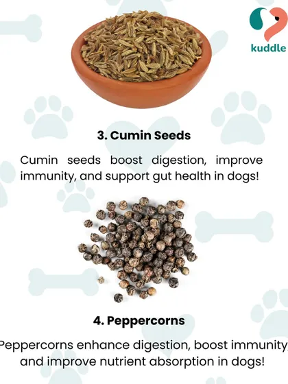 Cumin seeds and peppercorns are more than just spices. This image explains how they can boost digestion, improve nutrient absorption, and add an interesting flavor to your dog's meal.