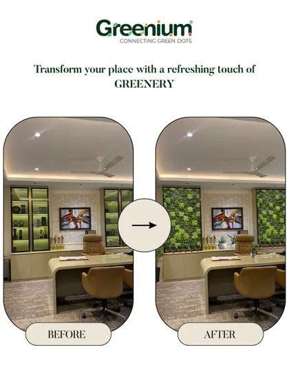 A before-and-after look at an office transformation. By adding artificial green panels to the cabinetry, I was able to bring color and life to the workspace, making it feel more vibrant and less sterile.