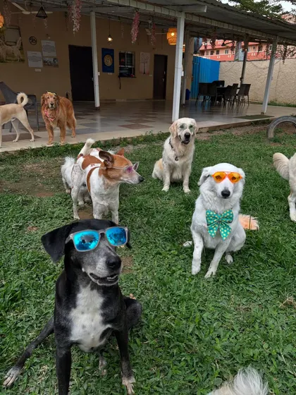 Next time you mess with my gang, just remember, we roll deep and look fabulous doing it. Say 'Woof' to our squad at Therpup Whitefield.