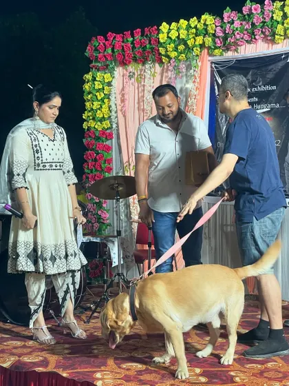 Awarding a prize to a participant at the dog show. We can help facilitate awards and recognition at your event, adding a professional touch to the proceedings.