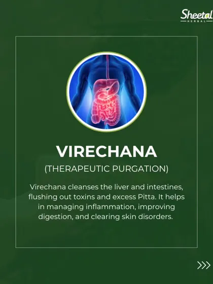Virechana, or therapeutic purgation, is a cleansing therapy focused on the liver and intestines. This animated graphic shows how Virechana works to flush out toxins and excess Pitta. This process is excellent for managing inflammation, improving digestion, and clearing skin disorders.