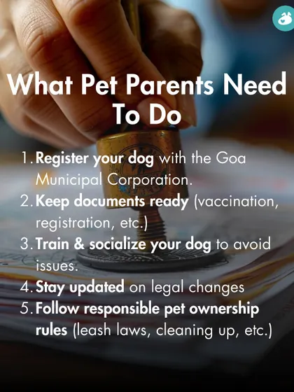 For pet parents in Goa, we've outlined the necessary steps to take, including municipal registration, proper training, and staying updated on legal changes.