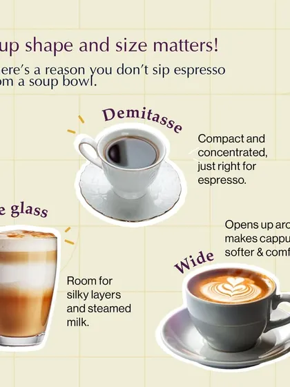 Cup shape and size matter. This infographic breaks down why different coffees are served in specific cups, from a concentrated demitasse for espresso to a wide cup that opens up a cappuccino's aroma.