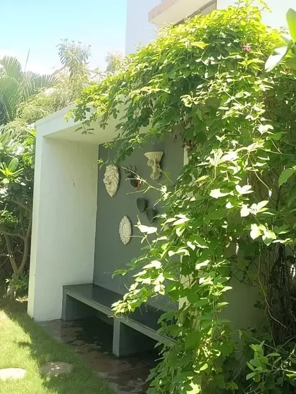 Creeping vines are a great way to add greenery to walls and structures. Here, a vine is starting to cover a garden seating area.