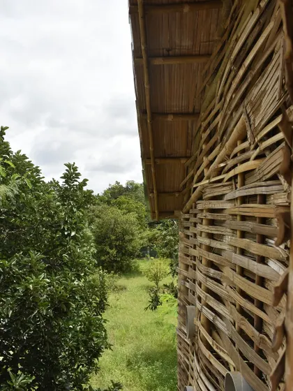 The exterior of a completed bamboo wattle wall before the daub is applied. This showcases the intricate and strong lattice framework created by weaving bamboo strips.