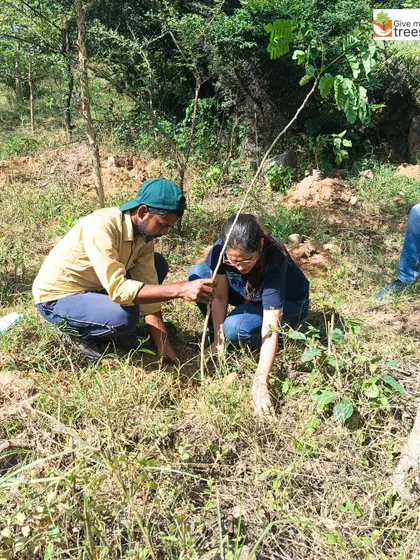 Volunteers at our Jaunapur City Forest site. These images show individuals from the community taking initiative, digging, planting, and learning from our team, embodying the spirit of grassroots environmentalism.