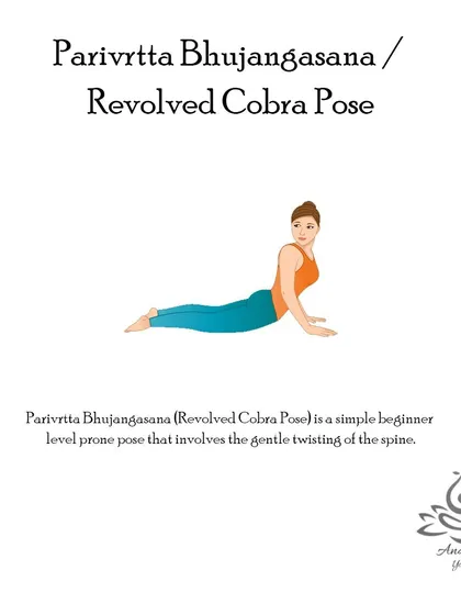 Parivrtta Bhujangasana (Revolved Cobra Pose) is a gentle twist that develops spinal flexibility, provides relief from backache, and promotes healthy digestion.