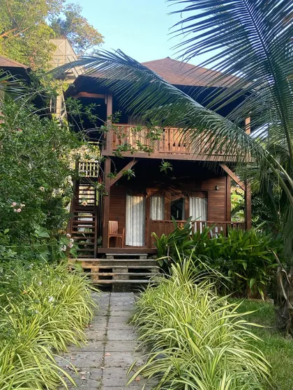The lush greenery surrounding our resort in the Andamans. It truly feels like a jungle paradise.