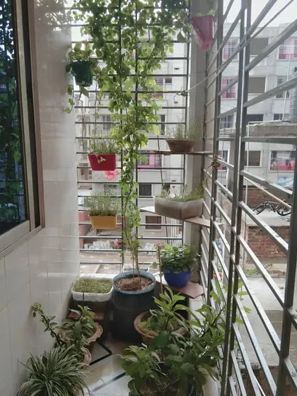 This balcony demonstrates a true jungle feel, with dense foliage from a variety of potted and hanging plants. We used simple shelving and grilles to support a rich collection of greenery, creating a completely immersive natural experience.