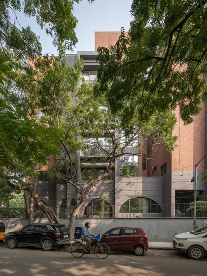 A view of the ARCUS facade through the branches of a preserved tree. This image perfectly captures our primary goal for this project: to build in harmony with nature, even on a tight urban site.