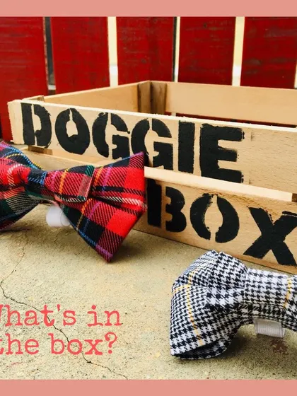 Get your dog looking sharp with our stunning bow ties. This image shows our red plaid and black-and-white houndstooth patterns.