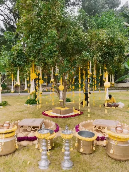 The complete outdoor Haldi ceremony area. This shot shows the seating arrangement, the decorated urlis, and the central tree, all ready for the rituals to begin.