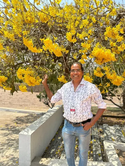 Standing under a beautiful blooming Tabebuia argentea tree at the Aequs campus. These trees create a stunning yellow canopy and are an excellent choice for avenue planting in corporate and public parks.